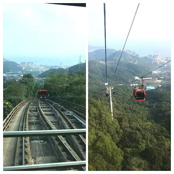 易網科技開展深圳東部華僑城2日團體游-大俠谷云頂觀光