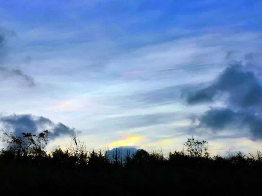 1566959322110806.jpg 7.webp.jpg