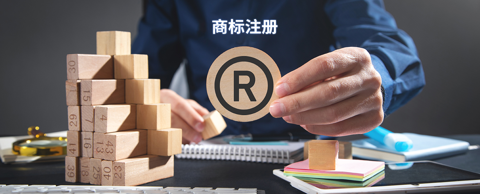 1701656573585227.jpg 商標(biāo)注冊(cè)